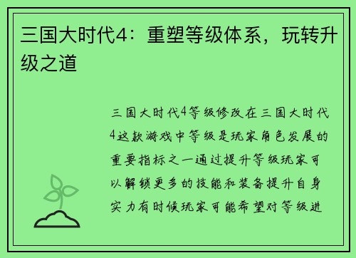 三国大时代4：重塑等级体系，玩转升级之道